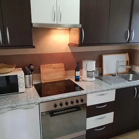 Alt Palmera 2 Apartment Arona (Tenerife)
