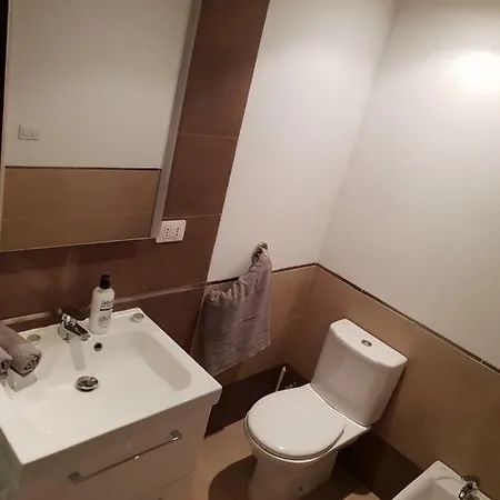 Alt Palmera 2